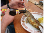 Pikettausflug 2007_0078.JPG